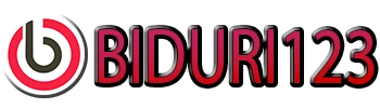 BIDURI123 logo